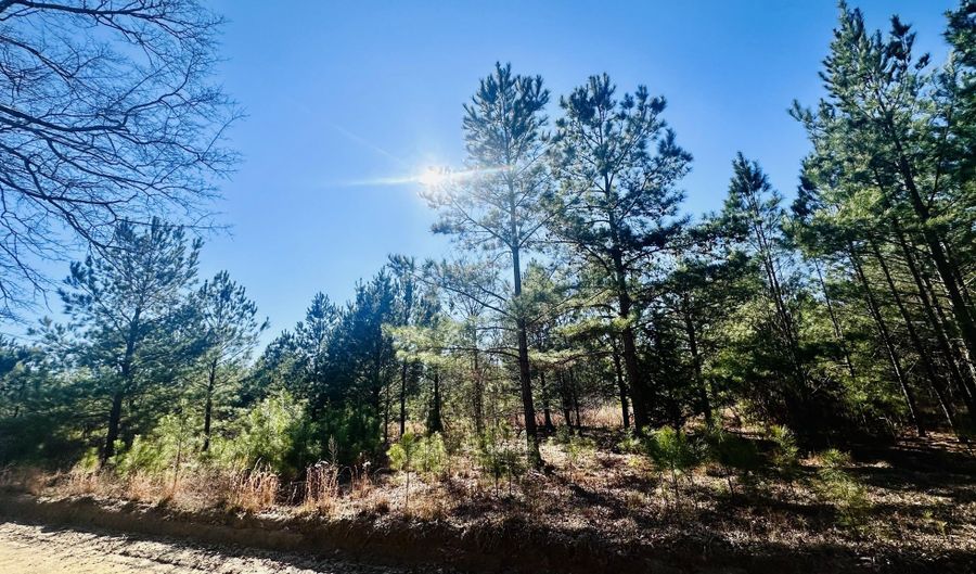 Loon Road, Barnwell, SC 29812 - 0 Beds, 0 Bath