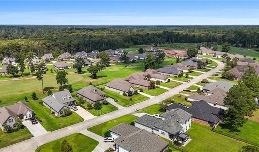 23375 NOBLE OAK Dr, Springfield, LA 70462 - 4 Beds, 3 Bath