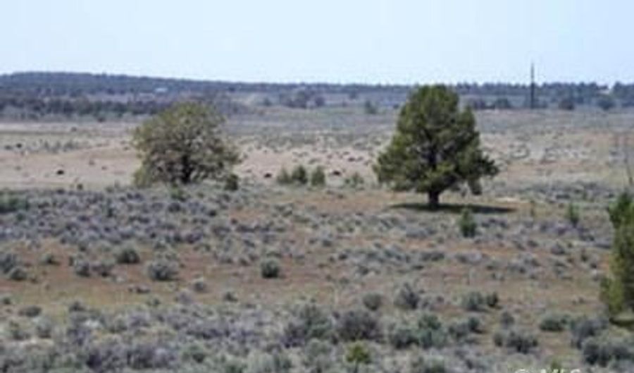 Hafer Hills Rd Ln lot 10, Alturas, CA 96101 - 0 Beds, 0 Bath