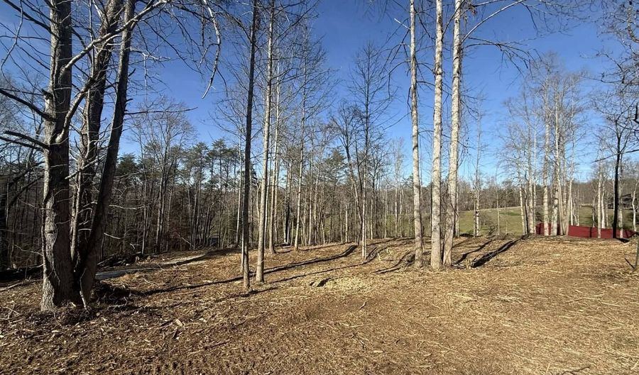 S Taxiway Dr lot # 16 & # 22, Albany, KY 42602 - 0 Beds, 0 Bath