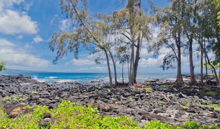 NENE ST, Hilo, HI 96720 - 0 Beds, 0 Bath