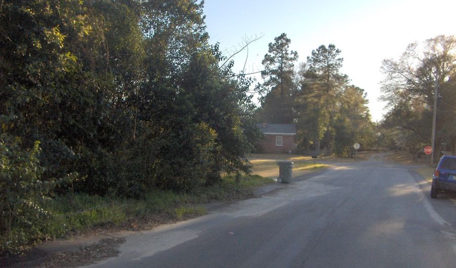 Georgia Avenue, Barnwell, SC 29812 - 0 Beds, 0 Bath