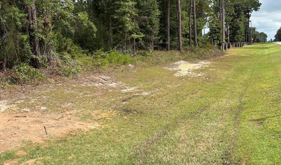 0 Newton Rd, Bainbridge, GA 39817 - 0 Beds, 0 Bath