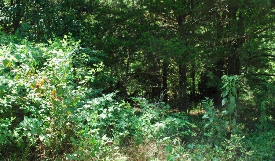 Lot 6 Scalloway DR, Bella Vista, AR 72715 - 0 Beds, 0 Bath