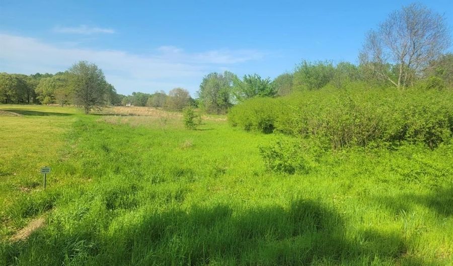 1821 County Road 1570, Alba, TX 75410 - 0 Beds, 0 Bath