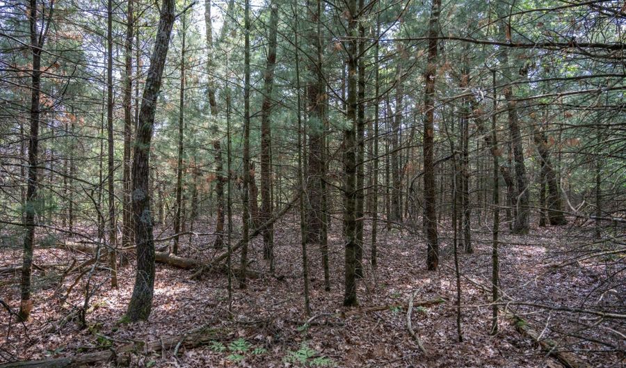Lot 35 19th Court, Arkdale, WI 54613 - 0 Beds, 0 Bath