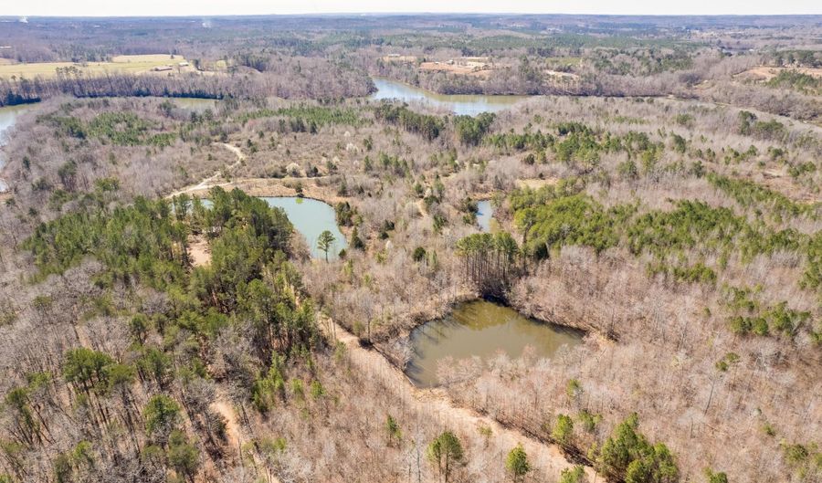 DIME Rd, Bear Creek, AL 35543 - 0 Beds, 0 Bath