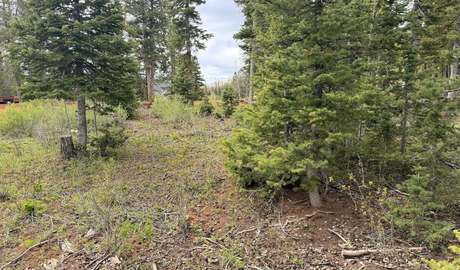 646 W Ski View Dr, Brian Head, UT 84719 - 0 Beds, 0 Bath