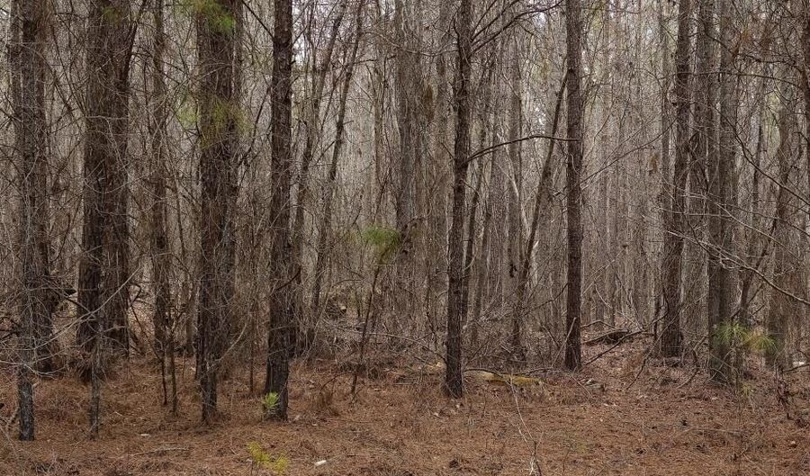 0 HWY 220 TRACT A, Lincolnton, GA 30817 - 0 Beds, 0 Bath