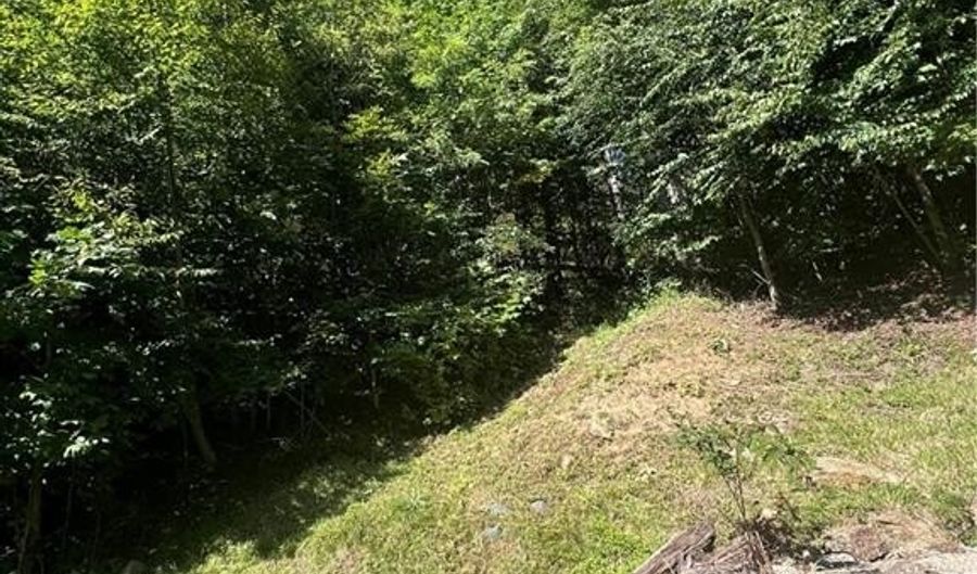 172 Hump View Trl, Banner Elk, NC 28604 - 0 Beds, 0 Bath