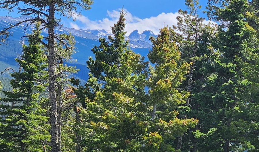 Blacktooth Road lot 12, Big Horn, WY 82833 - 0 Beds, 0 Bath
