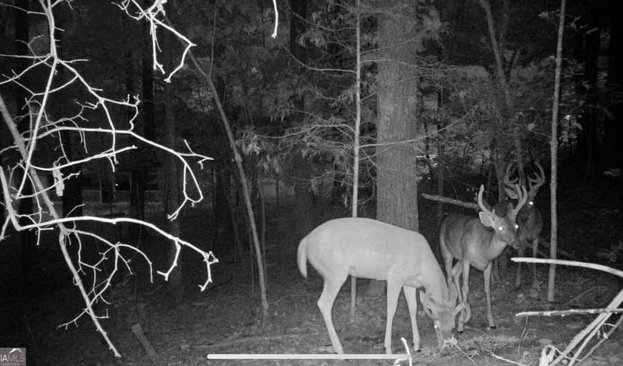 1451 Highway 140 NW, Adairsville, GA 30103 - 5 Beds, 4 Bath