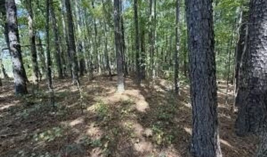 1 Massengill Pond Rd, Angier, NC 27501 - 0 Beds, 0 Bath