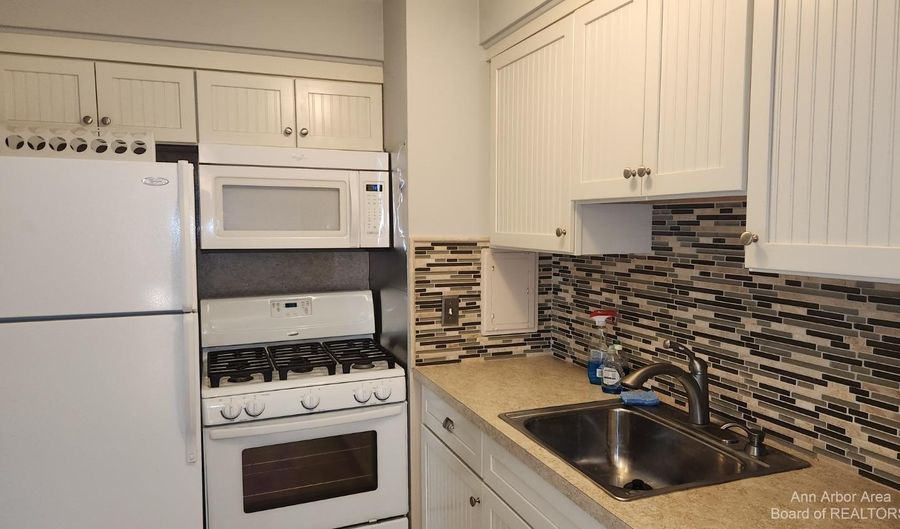 1217 Island Dr 204, Ann Arbor, MI 48105 - 2 Beds, 1 Bath
