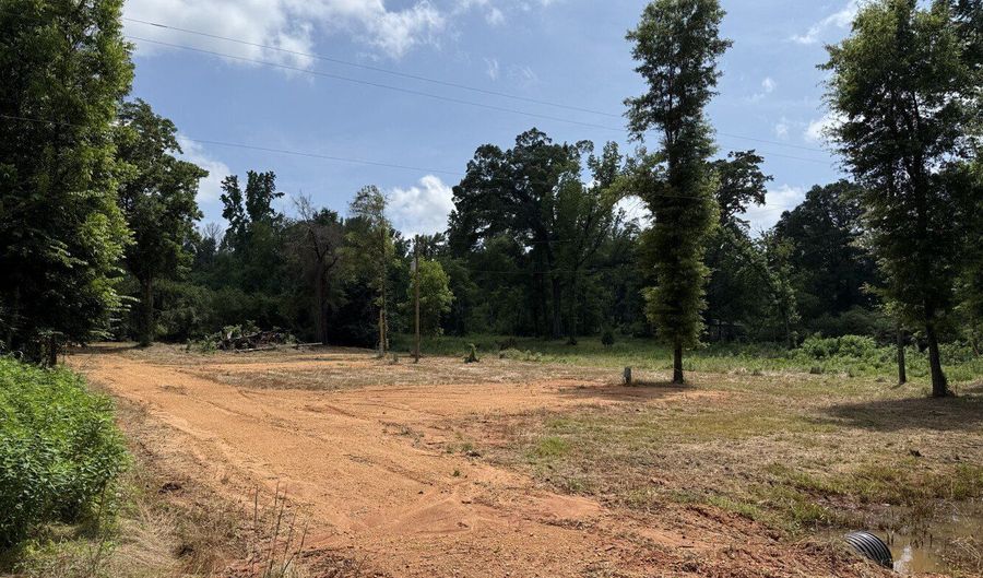 0 County Road 42, Akron, AL 35474 - 0 Beds, 0 Bath