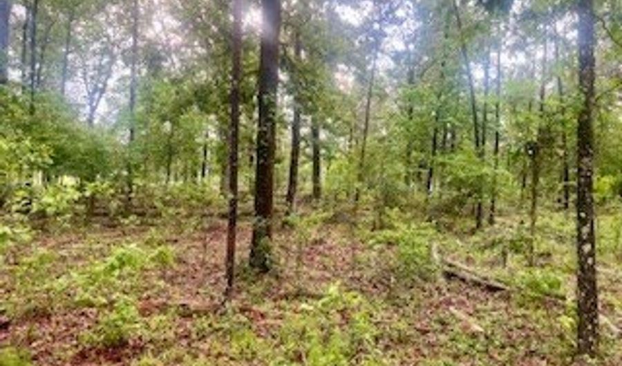 450 Apple Trl, Bogue Chitto, MS 39629 - 0 Beds, 0 Bath