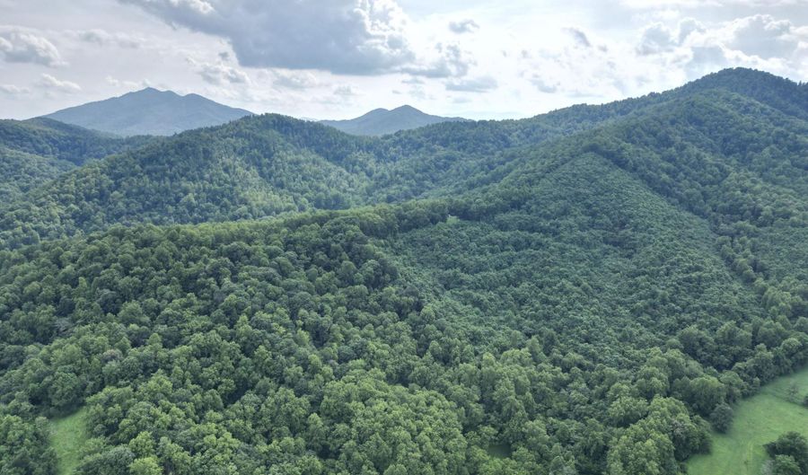 0 Lavender Ln, Amherst, VA 24521 - 0 Beds, 0 Bath