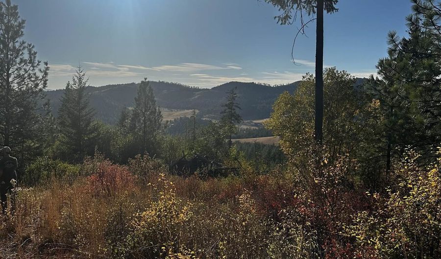 Old CC Rd, Addy, WA 99101 - 0 Beds, 0 Bath