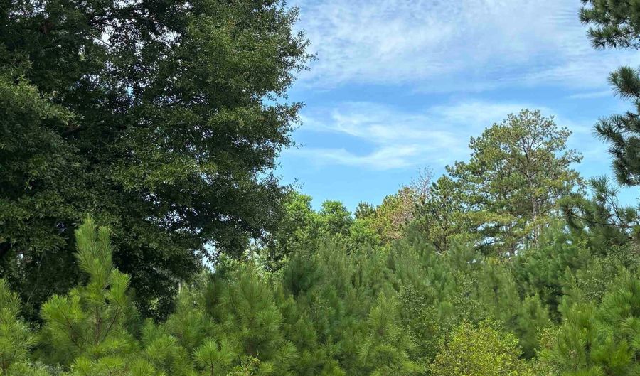 Fop Lodge Rd, Andalusia, AL 36421 - 0 Beds, 0 Bath