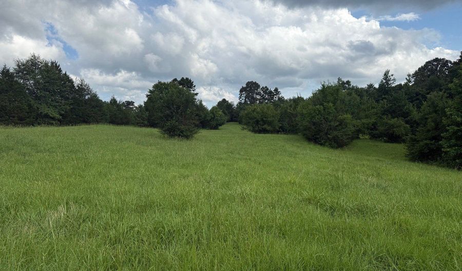 000 Perry Chapel Rd, Ashland, MS 38603 - 0 Beds, 0 Bath