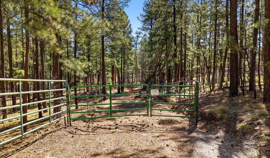 11 County Road 2135, Alpine, AZ 85920 - 0 Beds, 0 Bath