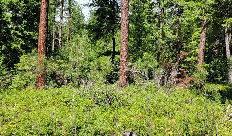 Smugglers Ln Tract A E, Bonners Ferry, ID 83805 - 0 Beds, 0 Bath