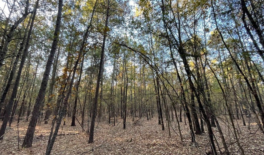 0 E 1912 Rd, Antlers, OK 74523 - 0 Beds, 0 Bath