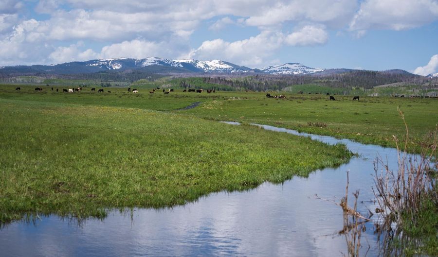 980 ACRES MERNA N BEAVER, Daniel, WY 83115 - 0 Beds, 0 Bath