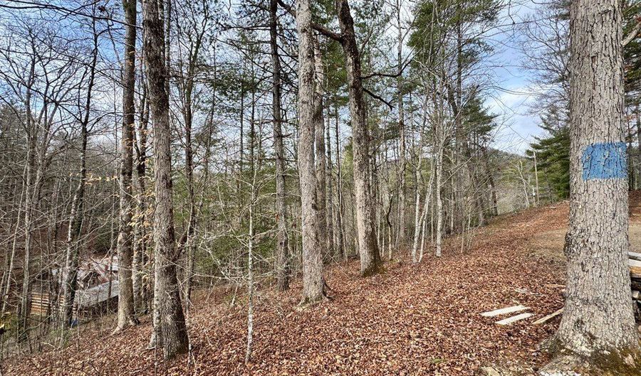 Fontana Forest lot 21, Almond, NC 28702 - 0 Beds, 0 Bath