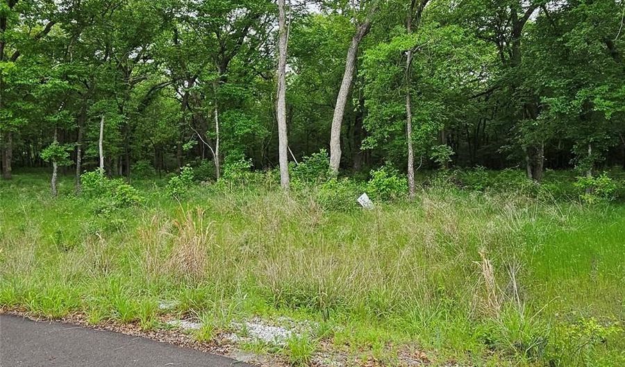 Lot 221 Banjo Court, Alvord, TX 76225 - 0 Beds, 0 Bath