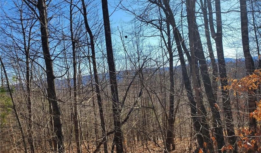 Lot 5 Sweetwater Road, Boomer, NC 28654 - 0 Beds, 0 Bath