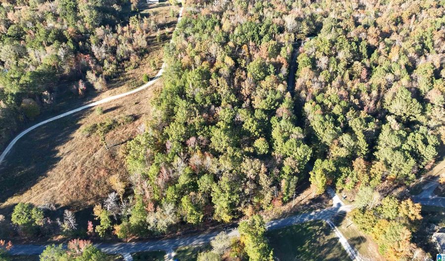 0 WALDROP Rd 10.82 Acres, Ashville, AL 35953 - 0 Beds, 0 Bath