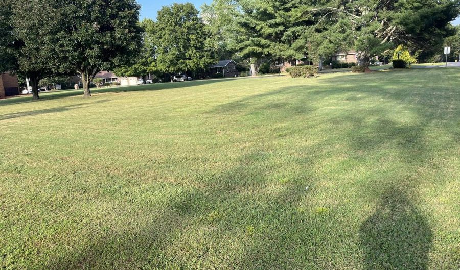 Lot 72 Hudgins Drive, Albertville, AL 35951 - 0 Beds, 0 Bath