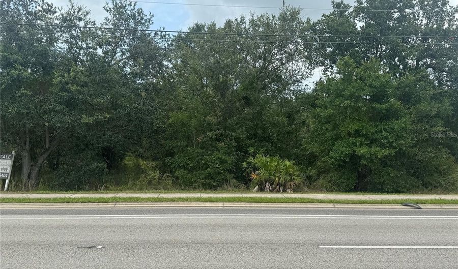 3356 SW HIGHWAY 17, Arcadia, FL 34266 - 0 Beds, 0 Bath