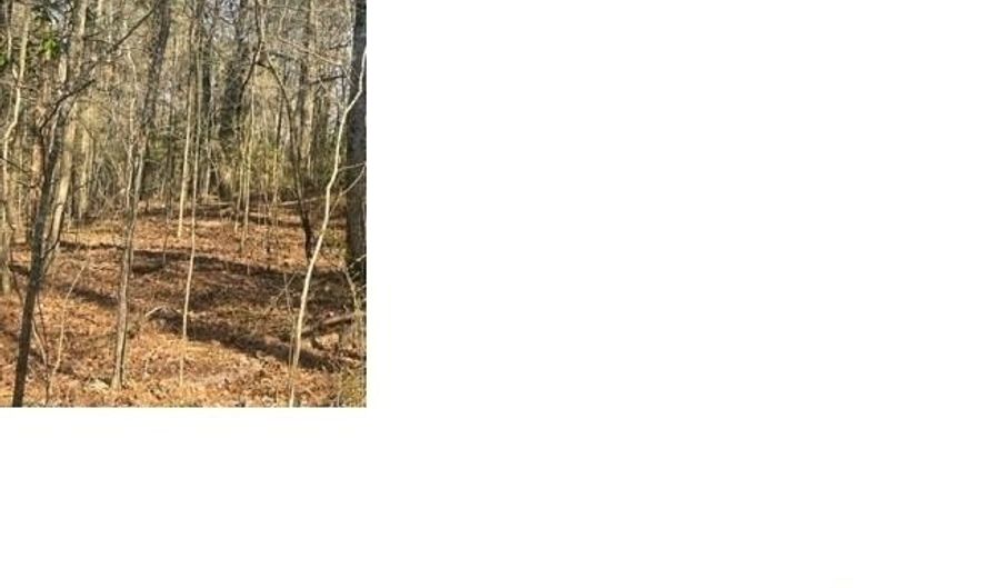 UNNAMED ROAD lot 36, Alpine, AL 35014 - 0 Beds, 0 Bath