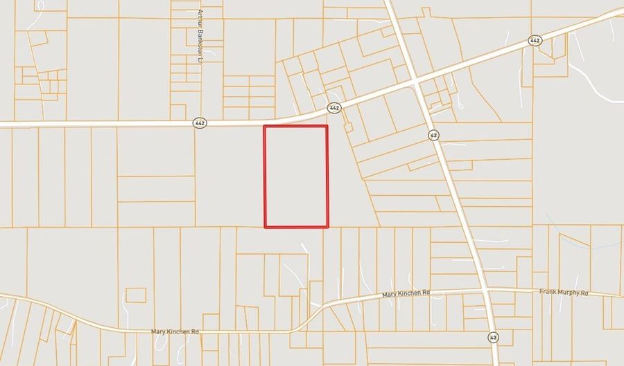 0 LA Hwy 442, Albany, LA 70711 - 0 Beds, 0 Bath