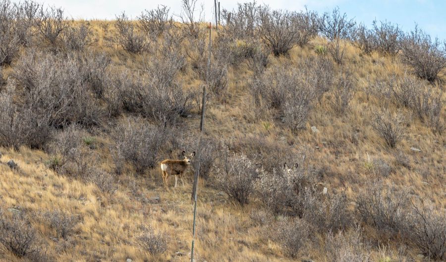 TBD Iron Mountain Rd, Chugwater, WY 82210 - 0 Beds, 0 Bath