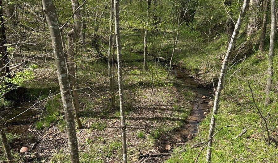 Gladys Road, Altavista, VA 24517 - 0 Beds, 0 Bath