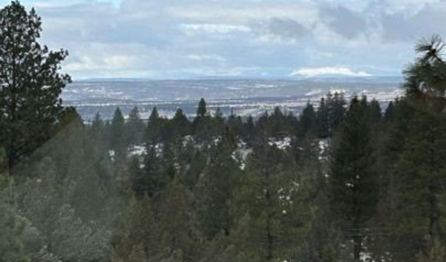 1000 McKenney Dr, Alturas, CA 96101 - 3 Beds, 2 Bath