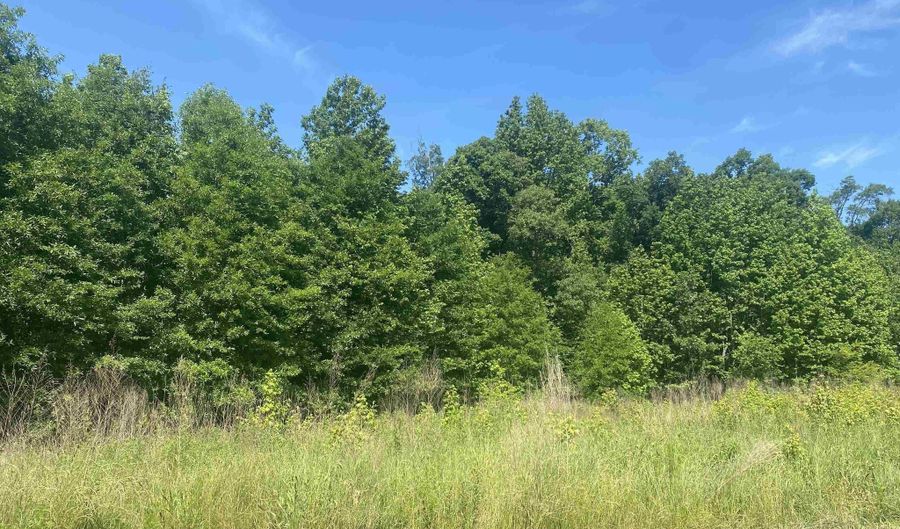 Lot 24 and 25 Cinel Loop, Austin, AR 72007 - 0 Beds, 0 Bath