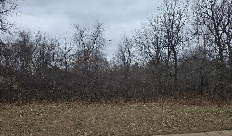 L8 B1 288th Avenue, Baldwin Twp., MN 55398 - 0 Beds, 0 Bath
