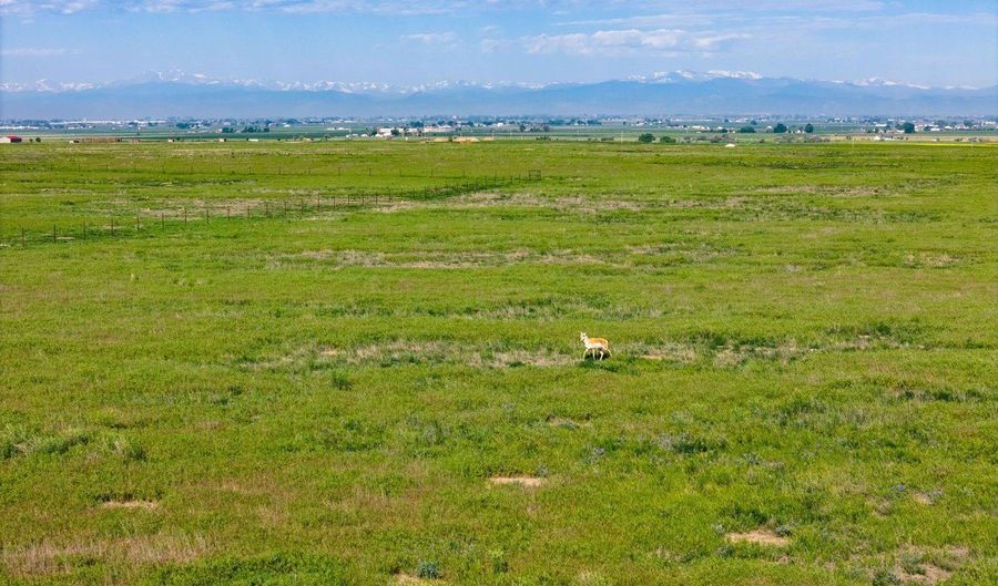County Rd 51, Ault, CO 80610 - 0 Beds, 0 Bath