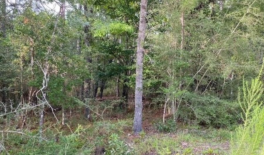 Putnam Avenue lot 5, Alford, FL 32420 - 0 Beds, 0 Bath