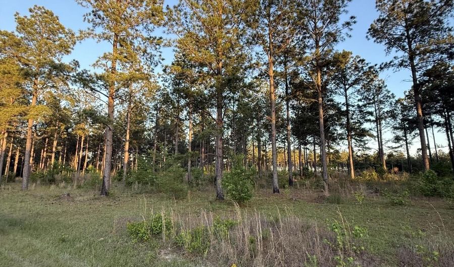506 Nature Trl, Blackville, SC 29817 - 0 Beds, 0 Bath