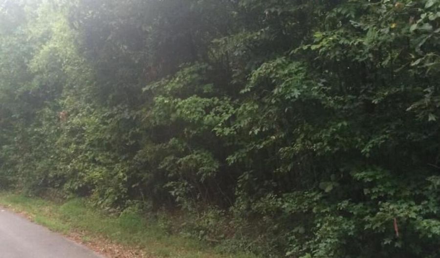 3347 Mountain View Ln, Baneberry, TN 37890 - 0 Beds, 0 Bath