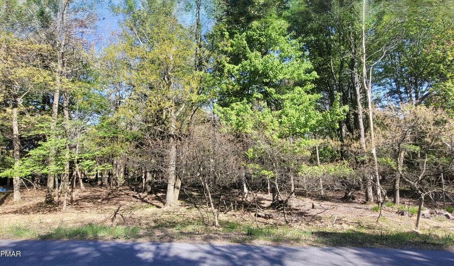 D2019 Penn Forest Trail, Albrightsville, PA 18210 - 0 Beds, 0 Bath