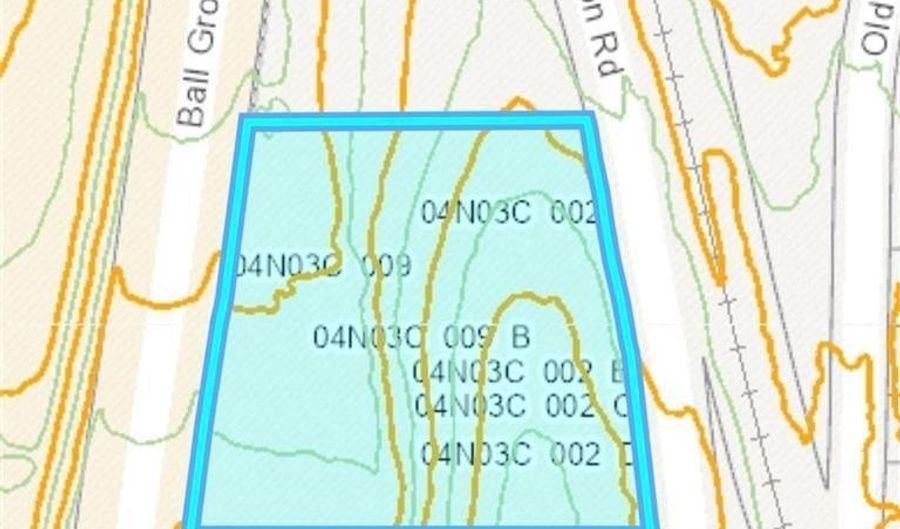 10494 Ball Ground Hwy, Ball Ground, GA 30107 - 0 Beds, 0 Bath