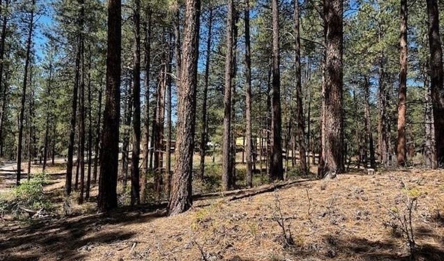 221 Badger Rd, Bayfield, CO 81122 - 0 Beds, 0 Bath