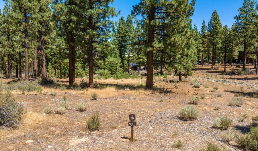 234 Redding Way, Carson City, NV 89705 - 0 Beds, 0 Bath