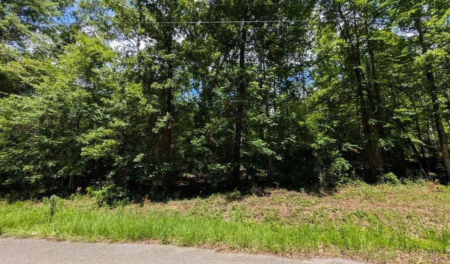 Lot 507 Lakeshore Dr, Abbeville, AL 36310 - 0 Beds, 0 Bath